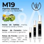 M19 - Aromático Helecho