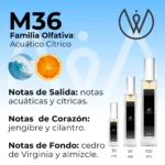M36 - Acuático Cítrico