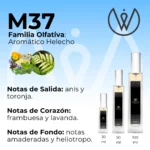 M37 - Aromático Helecho