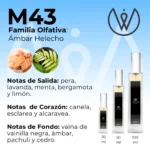 M43 - Ámbar Helecho