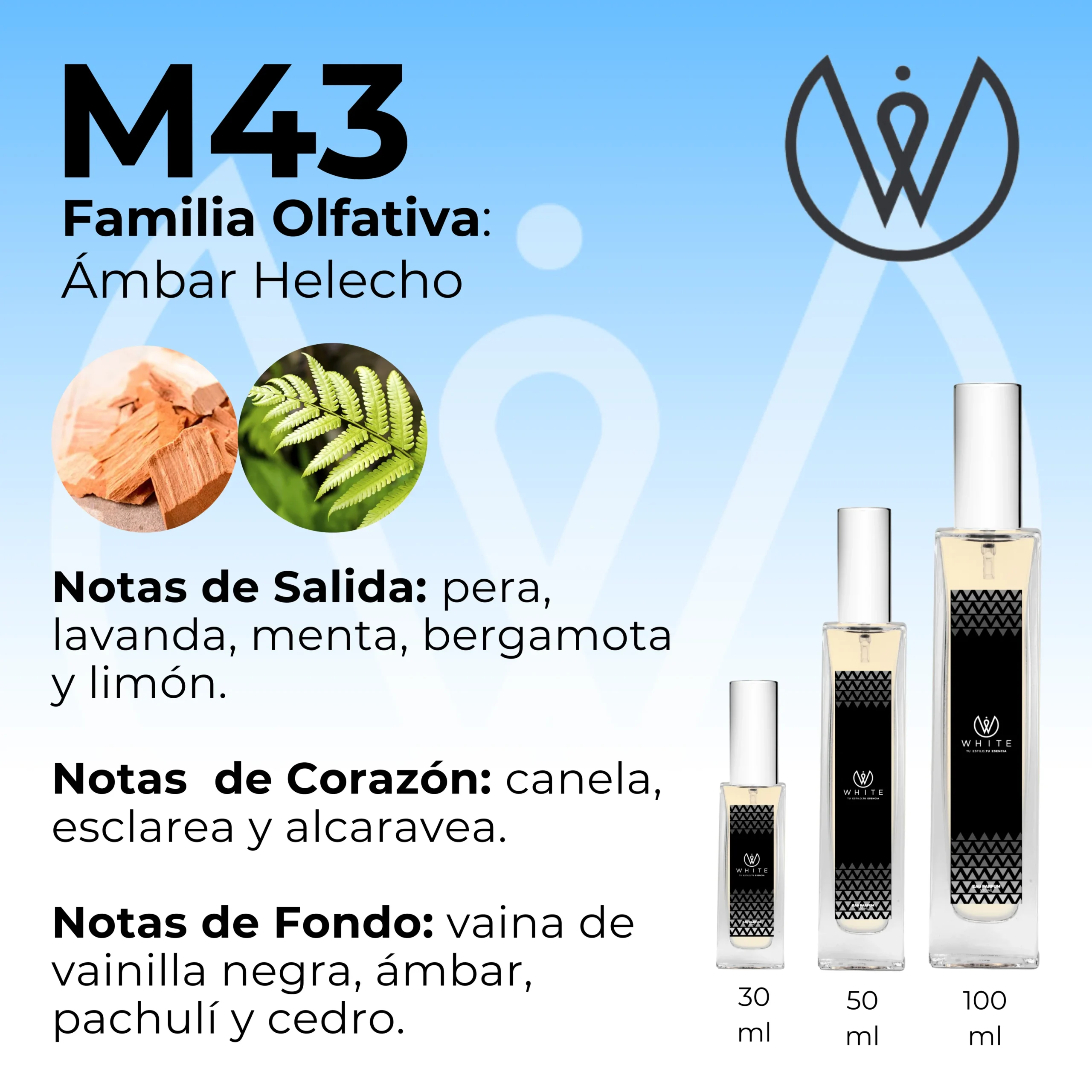 caballero-m43-ambar-helecho