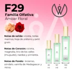 F29 - Ámbar Floral