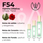 F54 - Chipre Floral