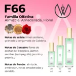 F66 - Almizcle, Amaderada y Floral